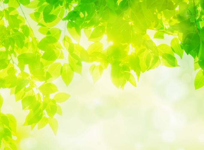 月刊ハーブ　背景