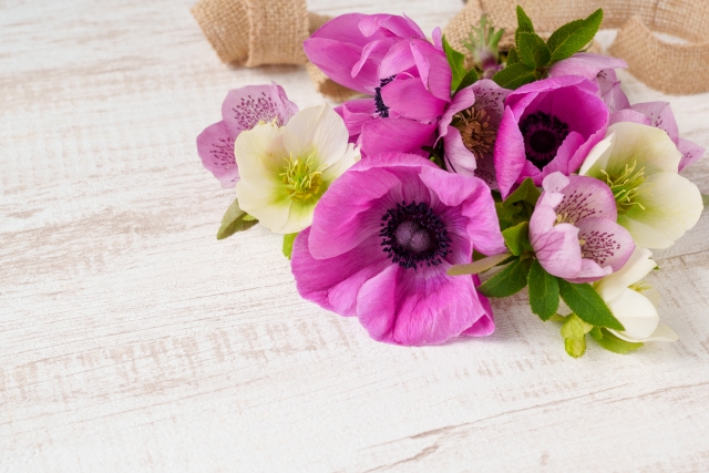 🎁ご予約・ご来場特典