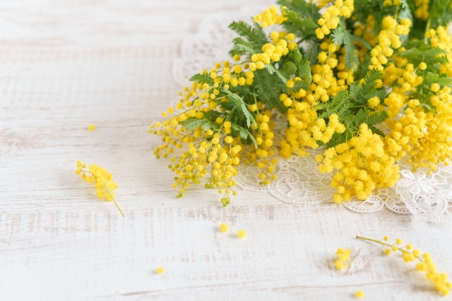 🎁ご来場ご予約特典